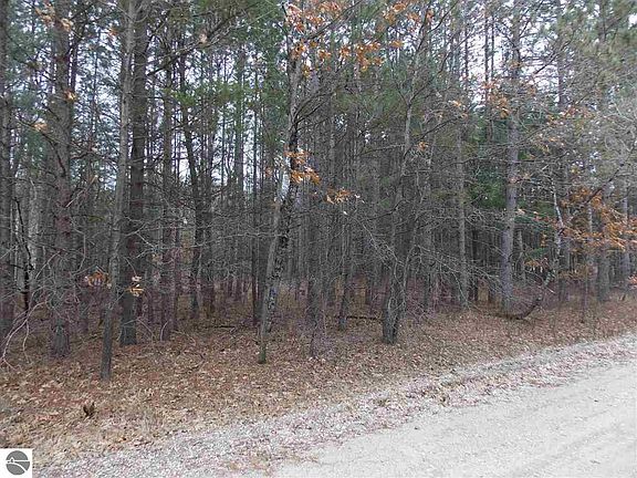 4th image of Lot 1195 Forest