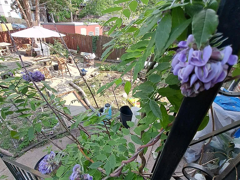 4440 Pennsylvania Ave #2 — Photo 31