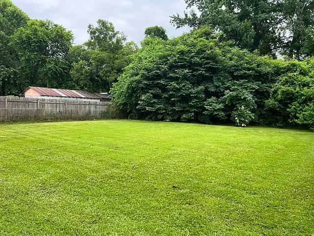 1235 Magnolia Ave — Photo 6