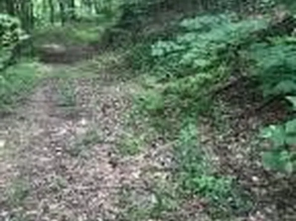 0-0 Old Church Loop Road, Butler, TN 37640