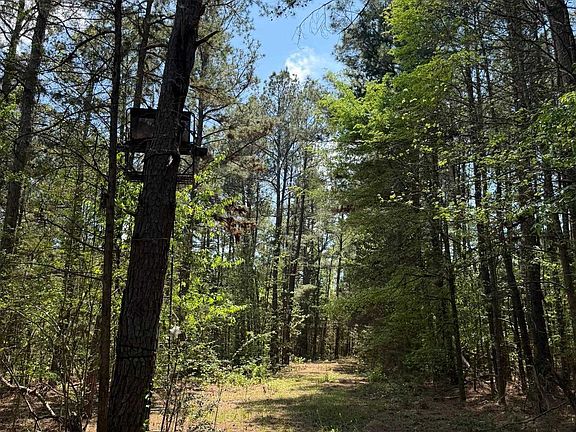 3rd image of County Road 4334