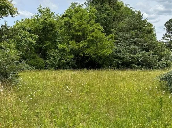 0 Jonesboro Church Rd Lot F1, Blackstone, VA 23824