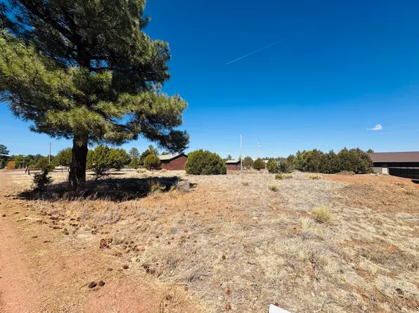 2212 Meadow Ln, Overgaard, AZ 85933