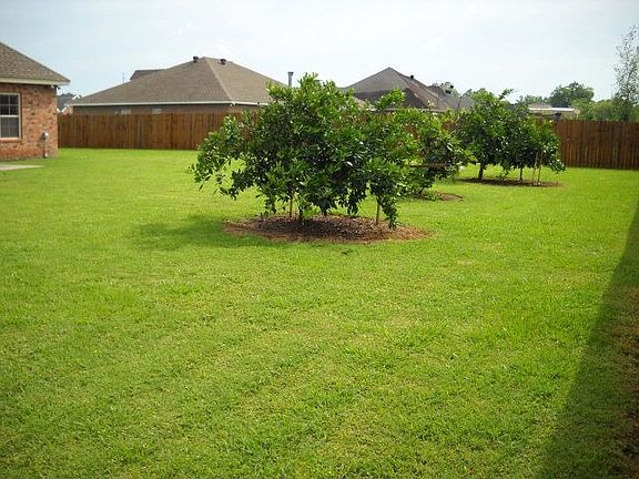 4th image of 243 Sugar Land St