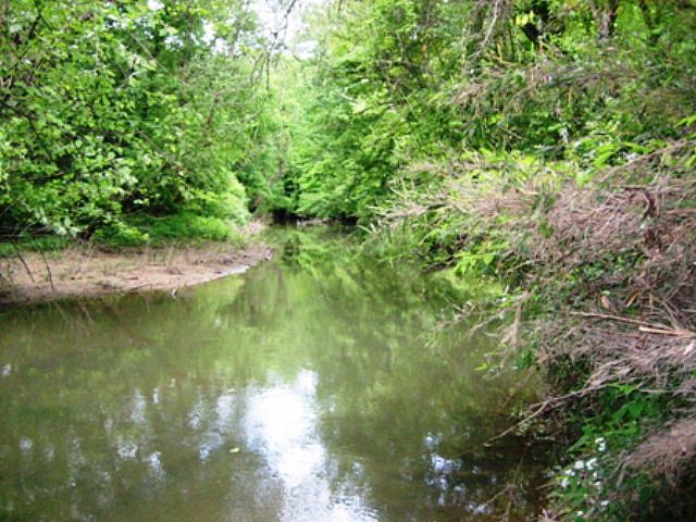 1st image of 1206 Holly Creek Dr