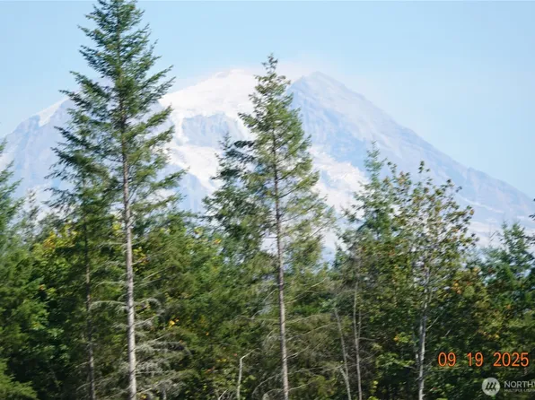 10119 Eatonville Highway E, Eatonville, WA 98328