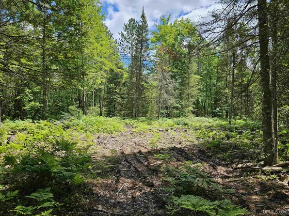 2100 E Aspen Ln, Little Lake, MI 49833