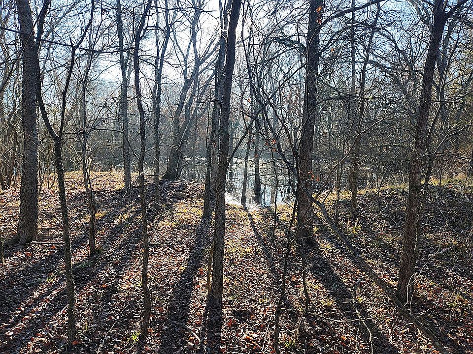 0 Tbd Cr 24800 Roxton, Brookston, TX 75421 Zillow