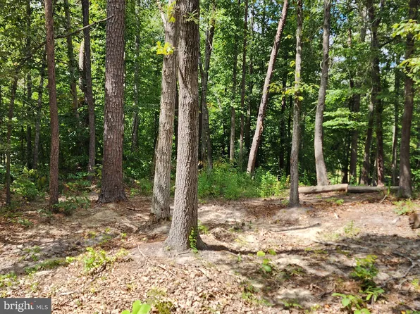 Brown Ln, Ruther Glen, VA 22546