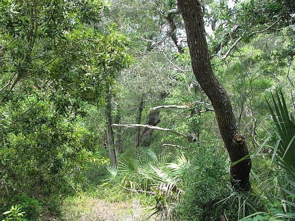 3rd image of 13 Scoters-Lot 687 LOT 687