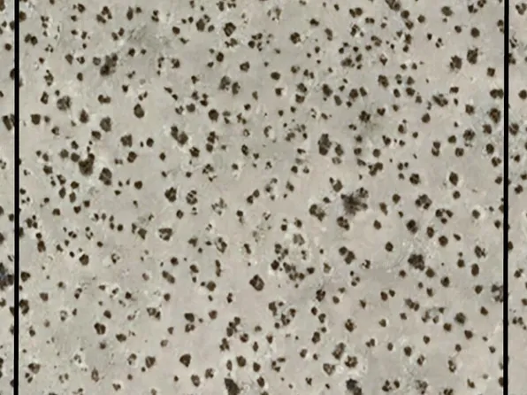 0 W Taurus Avenue #52, Eloy, AZ 85131