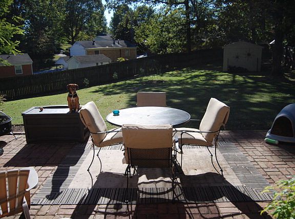 3rd image of 207 Elon Pl