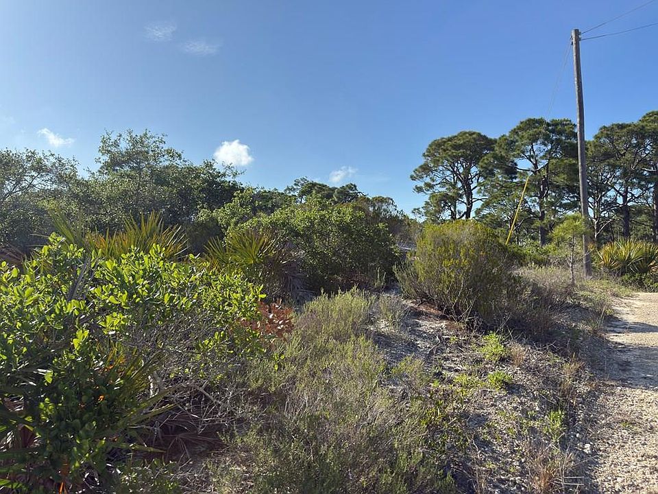 1st image of 105 Sand Trace Dr