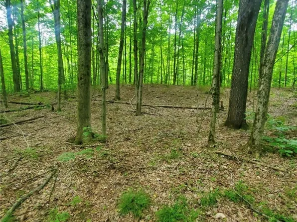 0 Balch Rd #3, Lacona, NY 13083