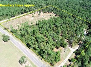 20334 Bays Chapel Rd, Richards, TX 77873