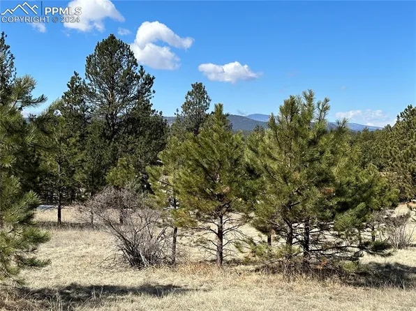 189 Rhyolite Ln, Florissant, CO 80816