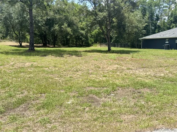 521 E Abend Dr, Citrus Springs, FL 34434