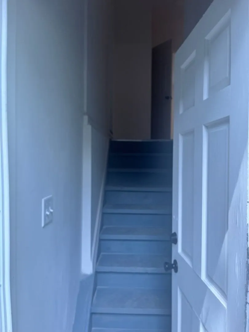 537 South 4th Street — Photo 2