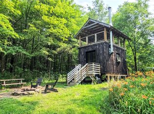 101 Tower Rd, Newfield, NY 14867