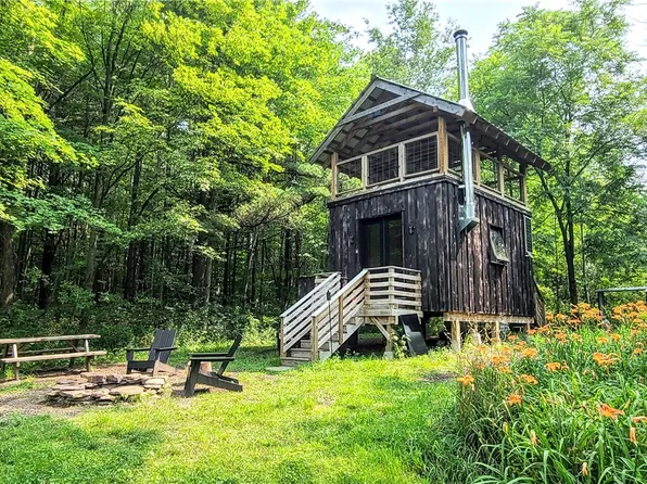 101 Tower Rd, Newfield, NY 14867