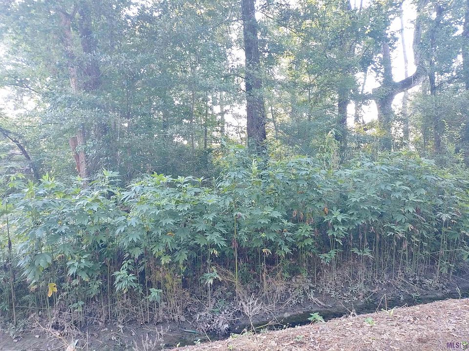 2nd image of N Susie Cir