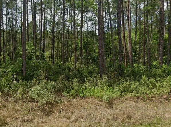 137 E Boundary Dr Lot 11, Georgetown, FL 32139