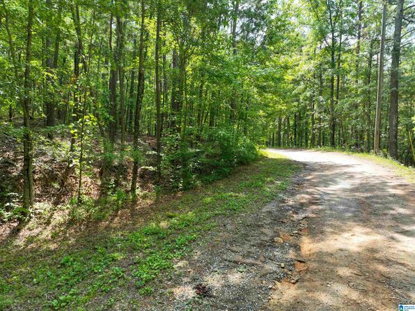 0 Aepean Way 77 78 79 #17-76-80, Alpine, AL 35014