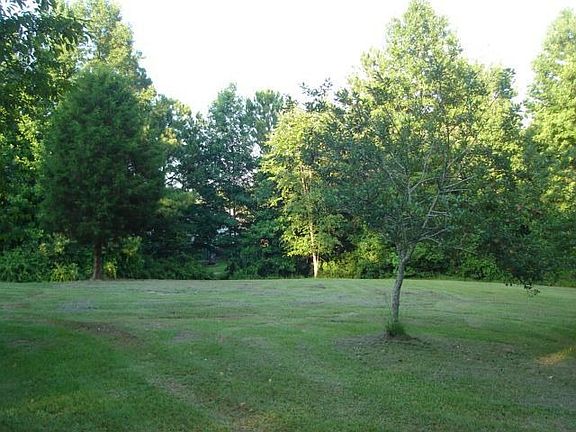 Additional Back Yard