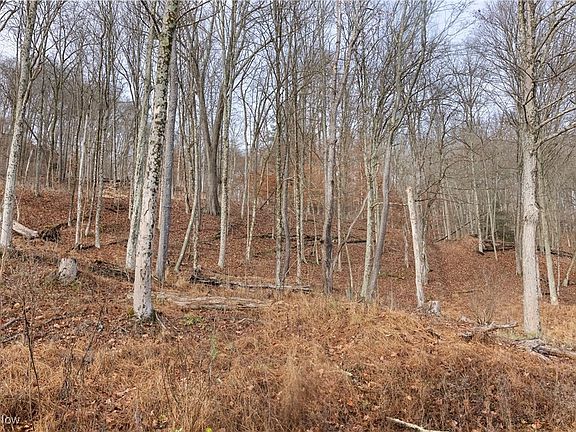 3rd image of Vl Township Rd #166