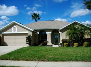 3903 Saddle Ridge St, Valrico, FL 33596