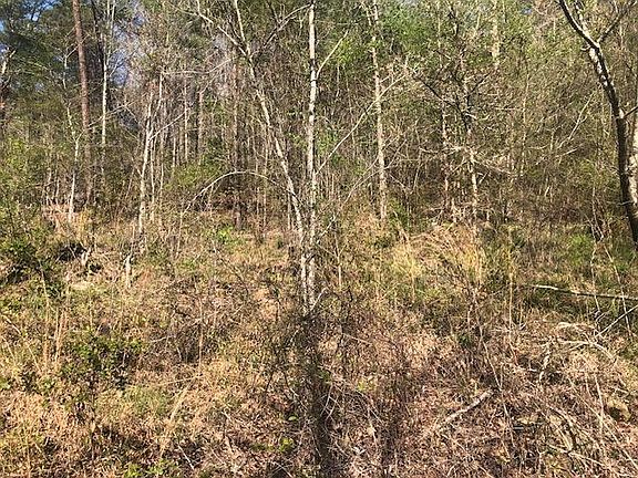 4th image of LOT 3 Hollyberry Ln