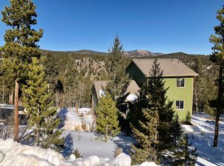 991 Hummer Dr, Nederland, CO 80466