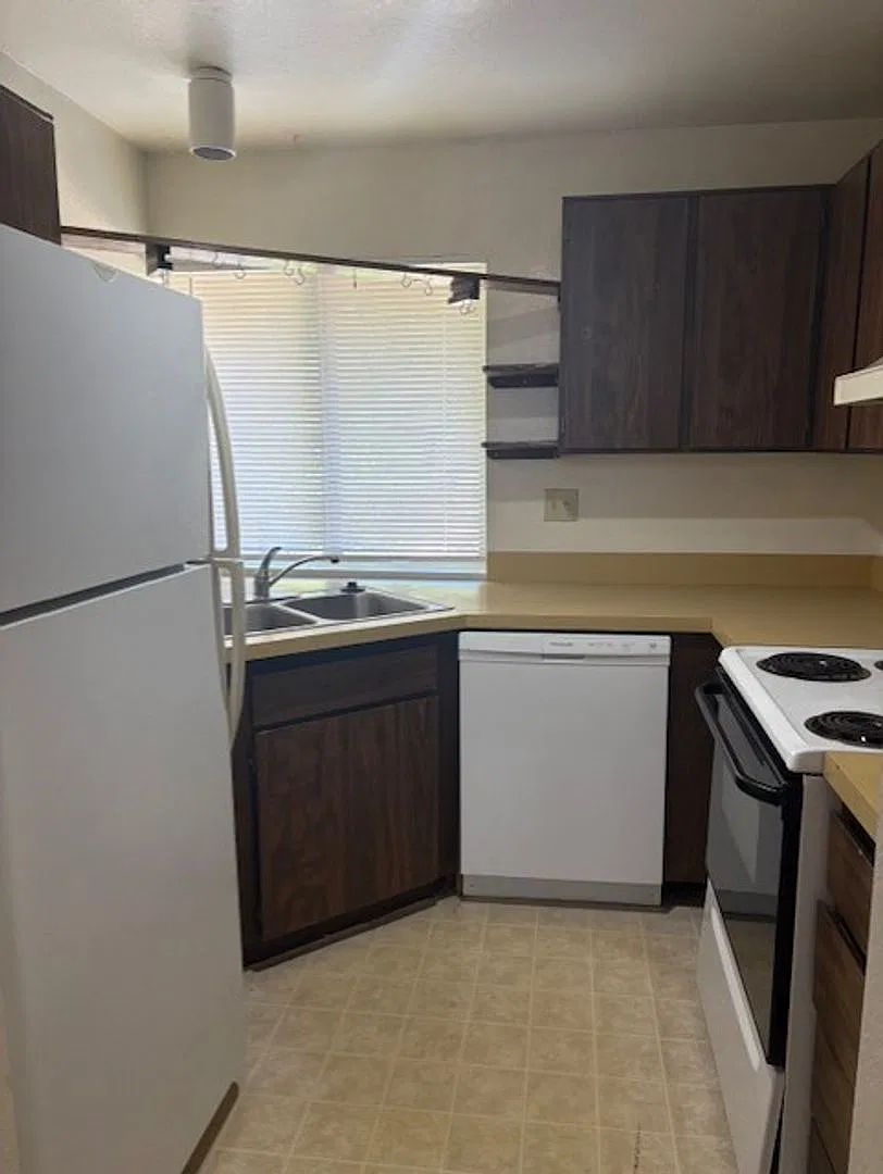 dg3708c — Photo 2