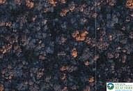 1st image of Point Phillips Rd