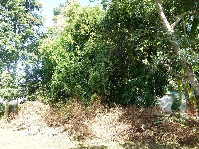 2nd image of 1-8587 Kaumualii Hwy Lot 149