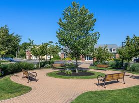 River Birch at Watertown