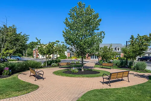 River Birch at Watertown Photo 1