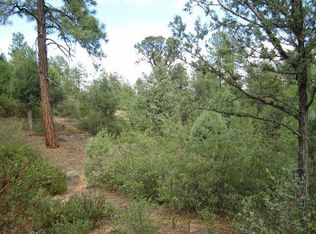 2900 E Rim Club Dr, Payson, AZ 85541