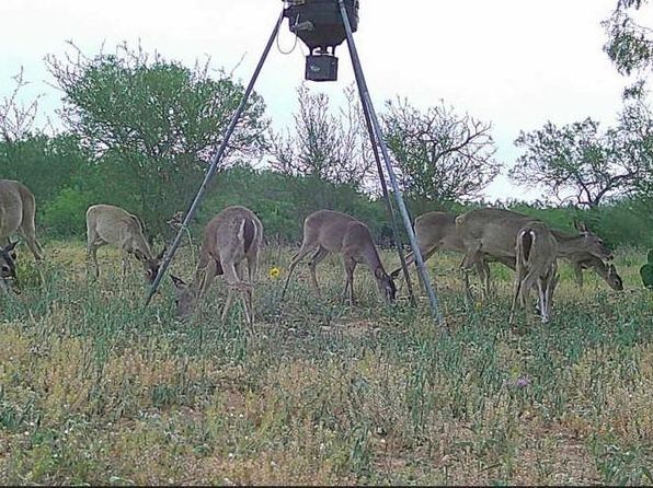 1809 County Road 287, Concepcion, TX 78349