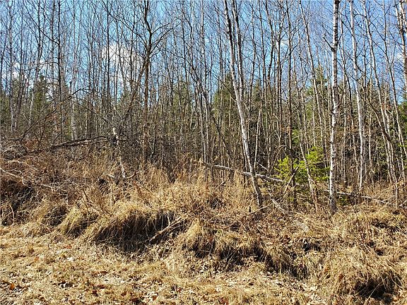 4th image of On Sheep Camp Road