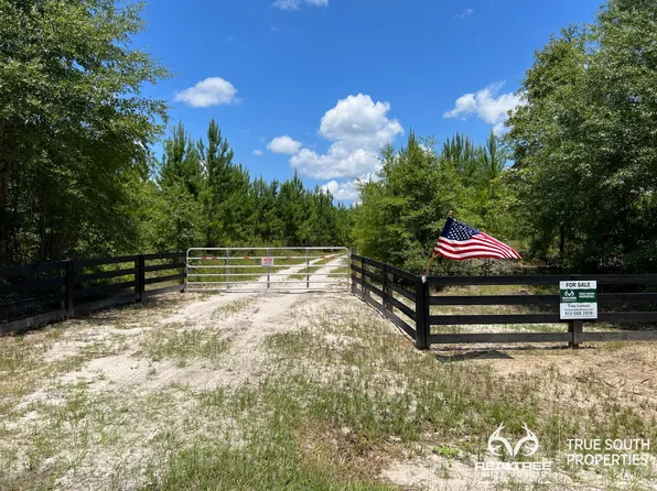 3875 Poor Robin Rd, Sylvania, GA 30467