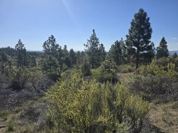 0 Cote Cyn, Sprague River, OR 97639