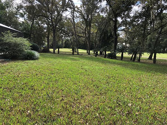 Back yard