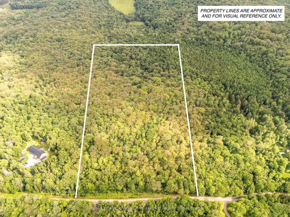 0 Stoney Rd, Ryerson, ON P0A 1C0