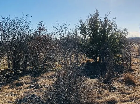 30 Neeleys Slough Dr, Graford, TX 76449