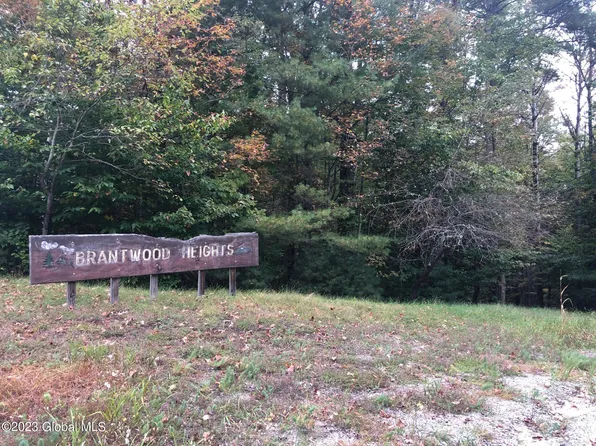 L2 Brantwood Heights Road, Brant Lake, NY 12815