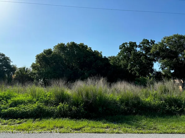 9004 Beach Rd, Spring Hill, FL 34606