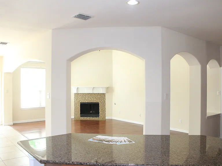 906 Meadow Flower Ln — Photo 9