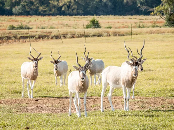 W Highway 79, Franklin, TX 77856