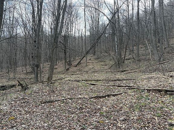 3rd image of 0 Philson Rd
